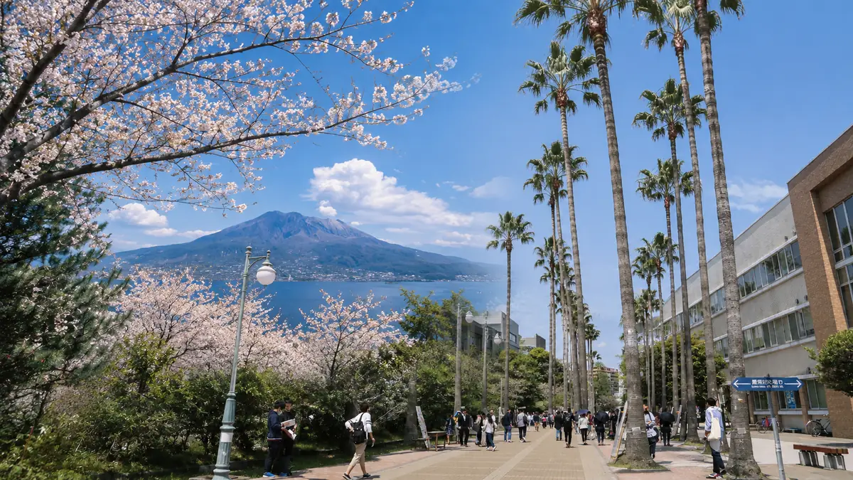 桜島を望む鹿児島の風景