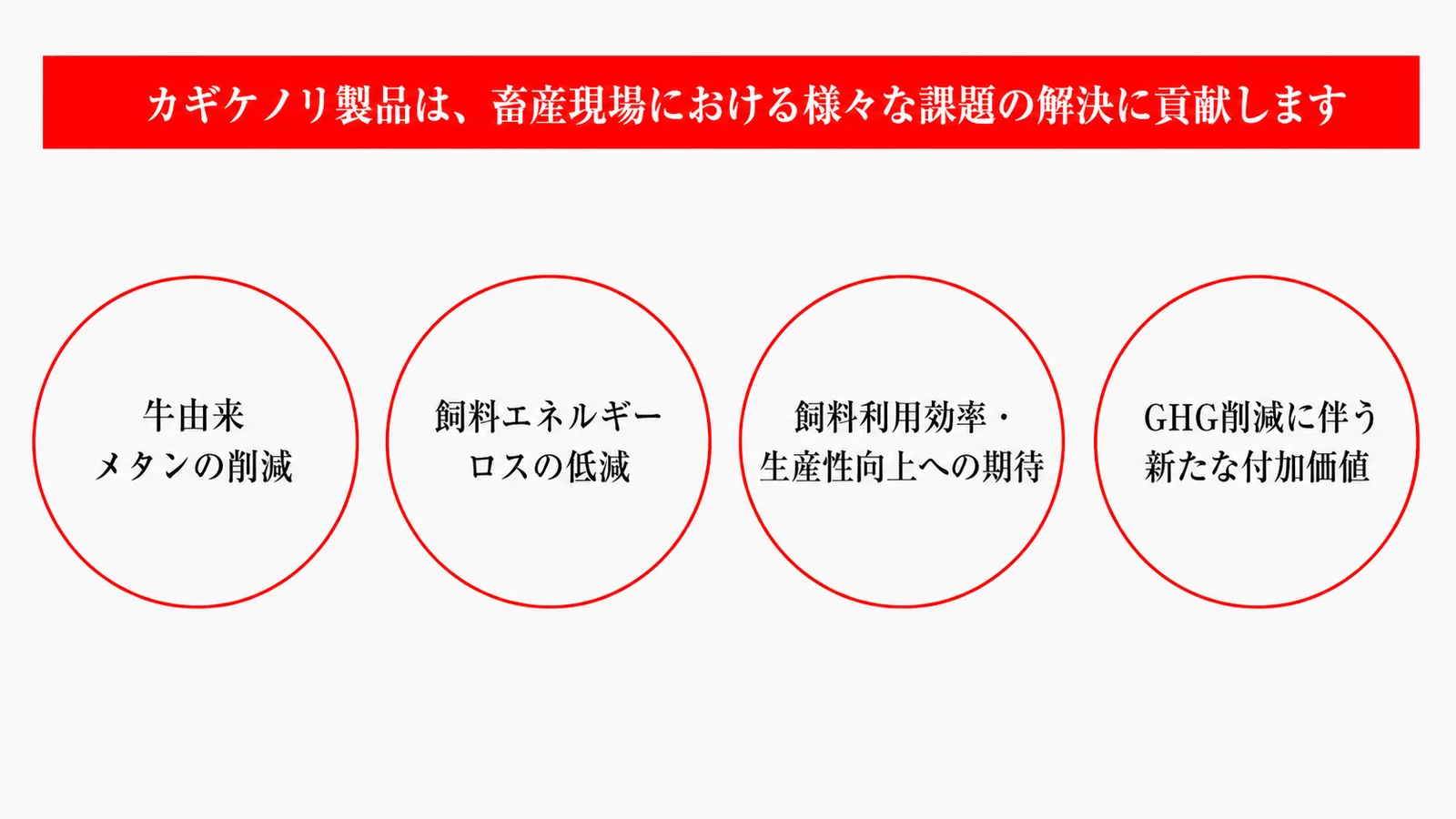 カギケノリ製品は、畜産現場における様々な課題の解決に貢献します。01 牛由来メタンの削減、02 飼料エネルギーロスの低減、03 飼料利用効率・生産性向上への期待、04 GHG削減に伴う新たな付加価値